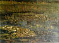 Click for a larger picture